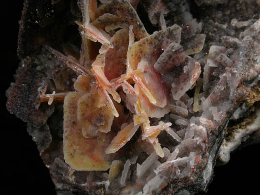 Wulfenite and Descloizite with druzy Quartz overgrowth from Finch Mine (Barking Spider Mine), north of Hayden, Banner District, Gila County, Arizona