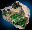 Torbernite from Musonoi Mine, Kolwezi, Katanga (Shaba) Province, Democratic Republic of the Congo