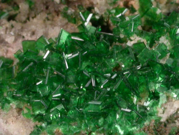 Torbernite from Musonoi Mine, Kolwezi District, Katanga Copperbelt, Lualaba Province, Democratic Republic of the Congo