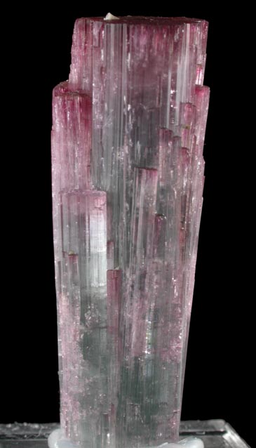 Elbaite Tourmaline from Pederneira Mine, Sao Jos da Safira, Minas Gerais, Brazil