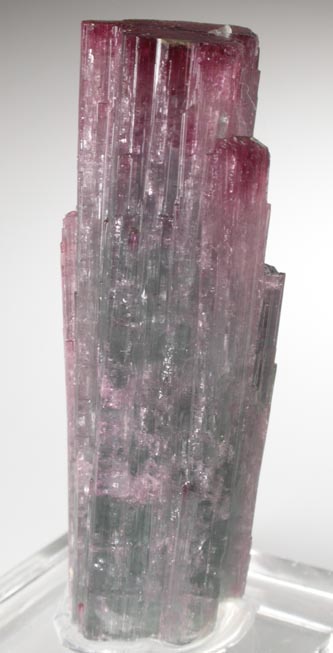 Elbaite Tourmaline from Pederneira Mine, Sao Jos da Safira, Minas Gerais, Brazil