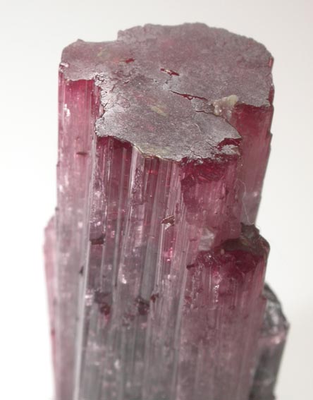 Elbaite Tourmaline from Pederneira Mine, Sao Jos da Safira, Minas Gerais, Brazil