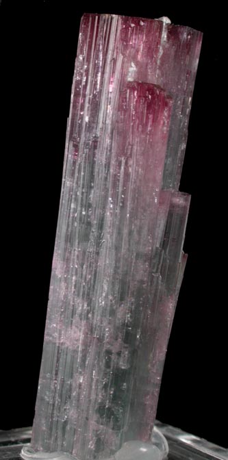 Elbaite Tourmaline from Pederneira Mine, Sao Jos da Safira, Minas Gerais, Brazil