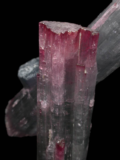 Elbaite Tourmaline from Pederneira Mine, Sao Jos da Safira, Minas Gerais, Brazil