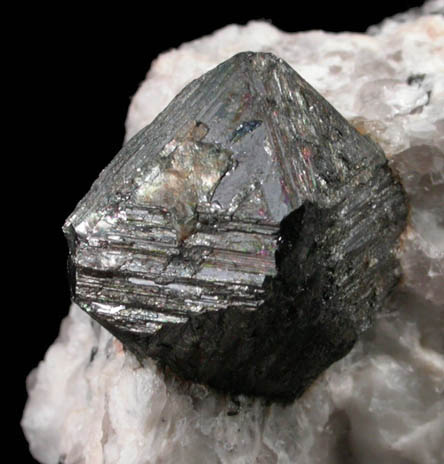 Magnetite from Route 9 road cut, Beaver Meadow Road exit, Haddam, Middlesex County, Connecticut