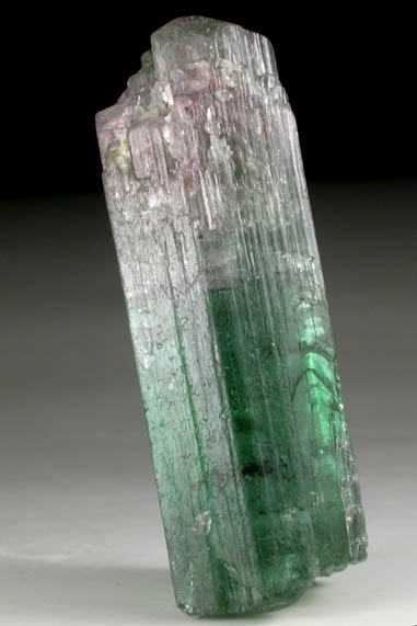 Elbaite Tourmaline from Mina do Urubu, Itinga, Minas Gerais, Brazil