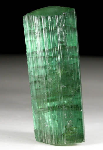 Elbaite Tourmaline from Mina do Urubu, Itinga, Minas Gerais, Brazil