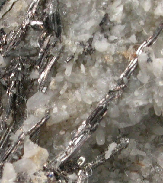 Sylvanite on Quartz from Cripple Creek, Teller County, Colorado