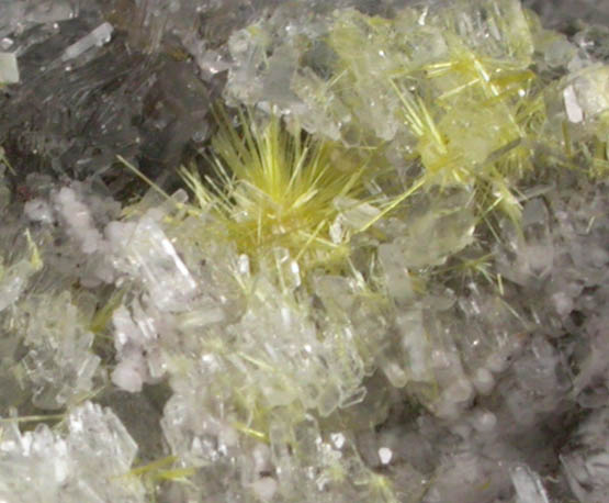Sklodowskite on Gypsum from Santa Eulalia District, Aquiles Serdn, Chihuahua, Mexico