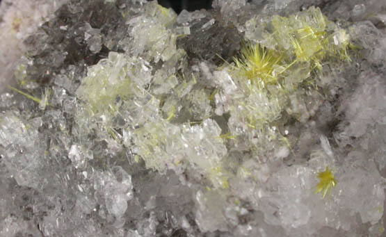 Sklodowskite on Gypsum from Santa Eulalia District, Aquiles Serdn, Chihuahua, Mexico