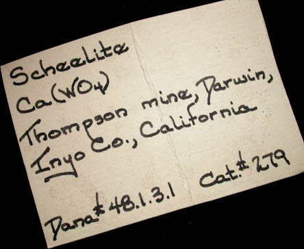 Scheelite from Thompson Mine, Darwin, Inyo County, California
