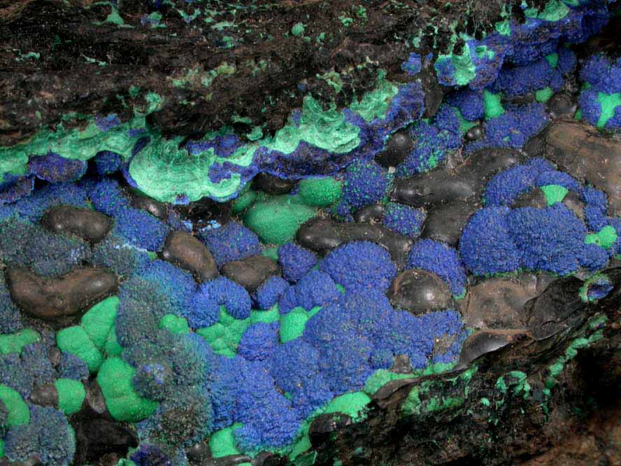 Azurite and Malachite on Tenorite from Morenci Mine, Clifton District, Greenlee County, Arizona