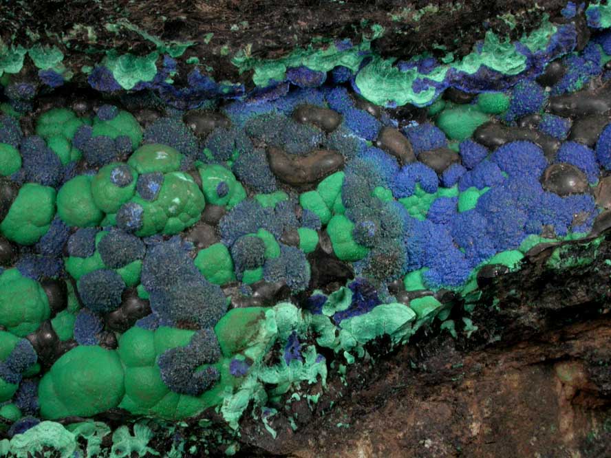 Azurite and Malachite on Tenorite from Morenci Mine, Clifton District, Greenlee County, Arizona