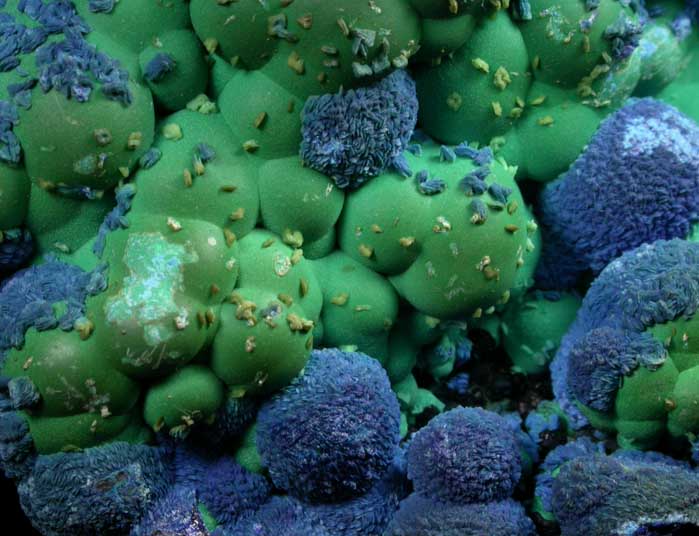 Azurite over Chrysocolla from Manganese Blue Mine Area, 4750' Bench, Morenci Mine, Copper Mountain, Greenlee County, Arizona