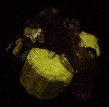 Fluorapatite and Quartz from Panasqueira Mine, Barroca Grande, 21 km. west of Fundao, Castelo Branco, Portugal