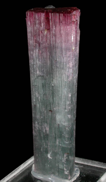 Elbaite Tourmaline from Pederneira Mine, Sao Jos da Safira, Minas Gerais, Brazil