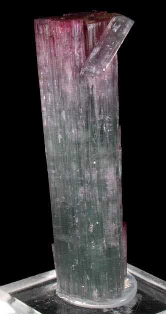 Elbaite Tourmaline from Pederneira Mine, Sao Jos da Safira, Minas Gerais, Brazil