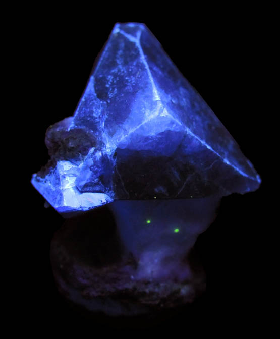 Photo below under shortwave ultraviolet illumination of Benitoite on Natrolite from Benitoite Gem Mine, New Idria District, San Benito County, California (Type Locality for Benitoite) Benitoite on Natrolite from Benitoite Gem Mine, New Idria District, San Benito County, California (Type Locality for Benitoite)