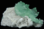 Apophyllite on Heulandite from Pashan Hill Quarry, Pune District, Maharashtra, India