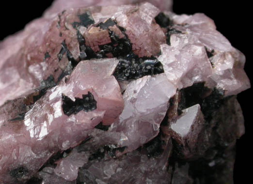 Franklinfurnaceite on Hodgkinsonite from Franklin Mine, Sussex County, New Jersey (Type Locality for Franklinfurnaceite and Hodgkinsonite)