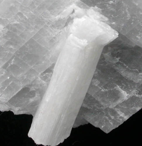 Wollastonite in Calcite from Crestmore Quarry, Riverside County, California