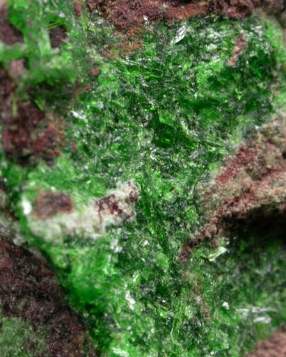 Cuprosklodowskite from Musonoi Mine, Kolwezi District, Katanga Copperbelt, Lualaba Province, Democratic Republic of the Congo