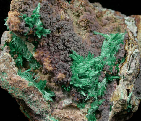 Brochantite from Grandview Mine, Coconino County, Arizona