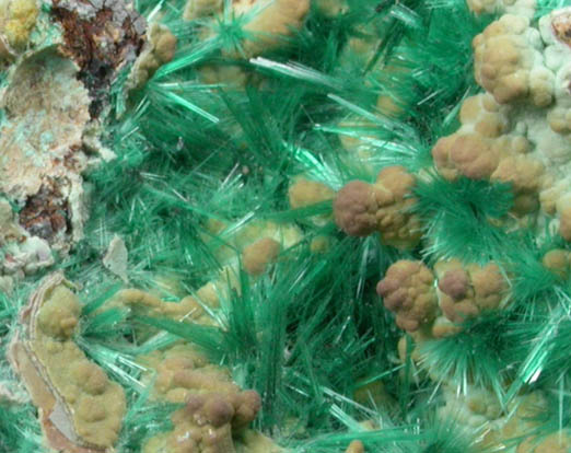 Brochantite from Grandview Mine, Coconino County, Arizona