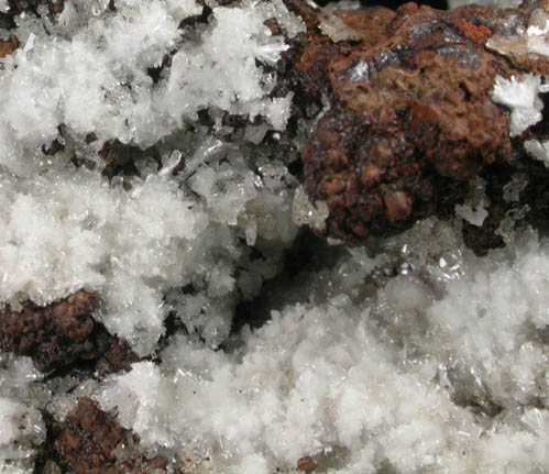 Austinite with Adamite from Gold Hill Mine, Tooele County, Utah (Type Locality for Austinite)