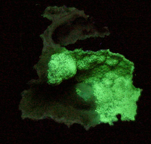 Austinite, Adamite, Talmessite from Gold Hill Mine, Tooele County, Utah (Type Locality for Austinite)