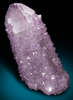 Quartz var. Amethyst (Cactus Quartz) from Boekenhouthoek area, Mpumalanga Province, South Africa