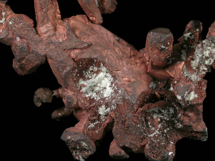 Copper (crystallized) from Sacramento Pit, Bisbee, Cochise County, Arizona