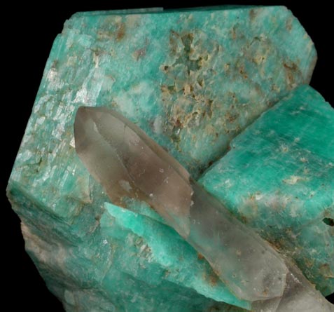 Microcline var. Amazonite with Smoky Quartz from Harry's Hill, Crystal Peak area, 6.5 km northeast of Lake George, Park-Teller Counties, Colorado