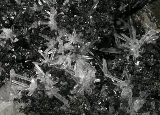 Pyrite, Sphalerite, Quartz from Sweet Home Mine, Buckskin Gulch, Alma District, Park County, Colorado