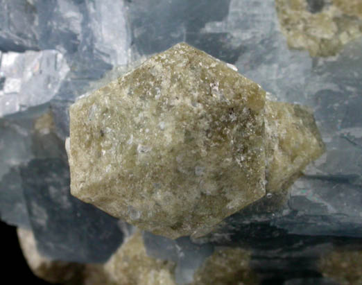 Fluorapatite in Calcite from Crestmore Quarry, Riverside County, California