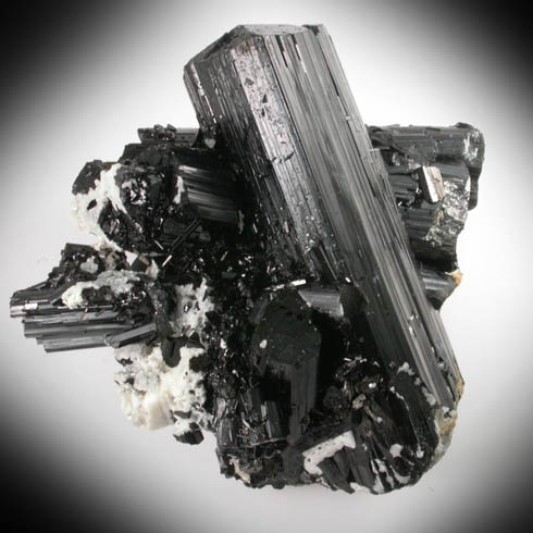 Schorl Tourmaline with Albite from Anzar Army Camp, Gilgit-Skardu Road, Gilgit-Baltistan, Pakistan