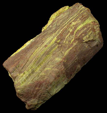 Carnotite replacing Wood from McElroy Mine, Henry Mountain District, Garfield County, Utah