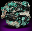 Aurichalcite on Tenorite from Grandview Mine, Coconino County, Arizona