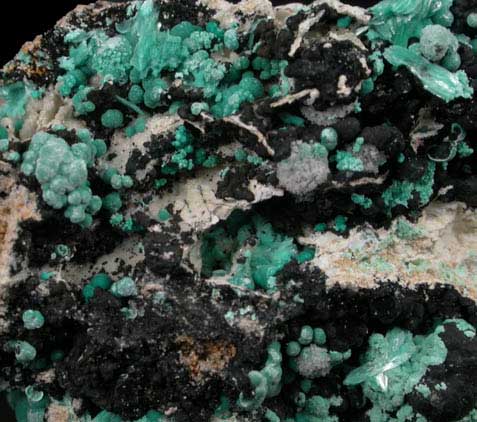 Aurichalcite on Tenorite from Grandview Mine, Coconino County, Arizona