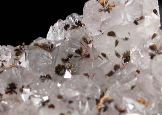 Goethite on Smoky Quartz from Cinque Quarry, East Haven, New Haven County, Connecticut