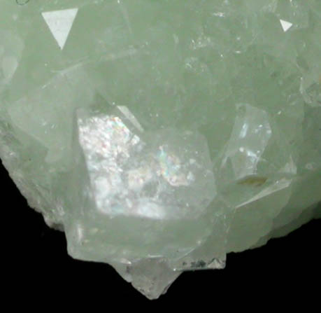Hydroxyapophyllite-(K) (formerly apophyllite-(KOH)) on Prehnite from Bull Run Quarry, near Conklin, Loudoun County, Virginia