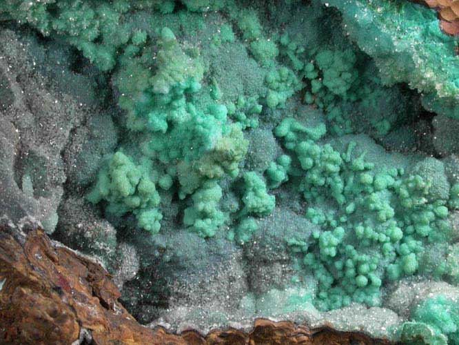 Chrysocolla with Quartz from Inca de Oro, Atacama, Chile