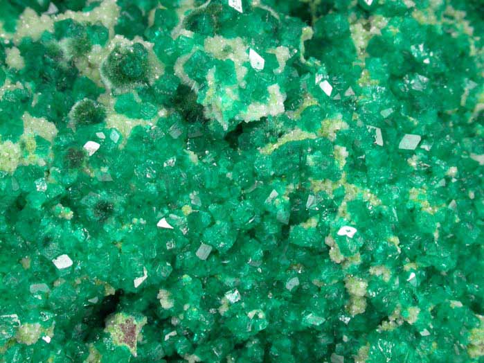 Dioptase and Malachite on Dolomite and Duftite from Tsumeb Mine, Otavi-Bergland District, Oshikoto, Namibia (Type Locality for Duftite)