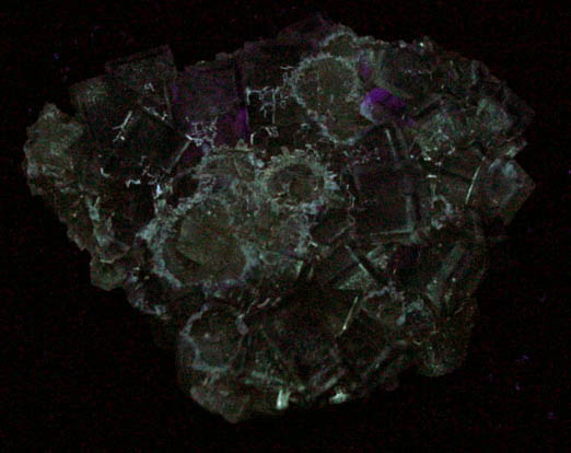 Fluorite from Annabel Lee Mine, Harris Creek District, Hardin County, Illinois