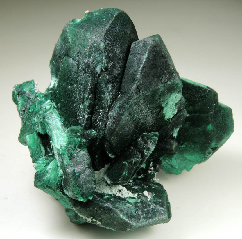 Malachite pseudomorphs after Azurite from Milpillas Mine, Cuitaca, Sonora, Mexico