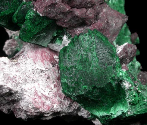 Malachite pseudomorphs after Azurite from Milpillas Mine, Cuitaca, Sonora, Mexico