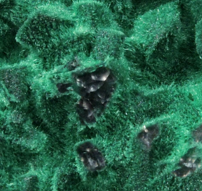 Malachite over Chalcocite-Cuprite pseudomorphs after Azurite from Milpillas Mine, Cuitaca, Sonora, Mexico