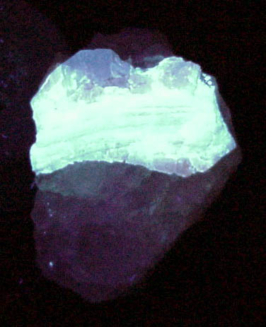 Scheelite on Quartz from Morro Velho Mine, Nova Lima, Minas Gerais, Brazil