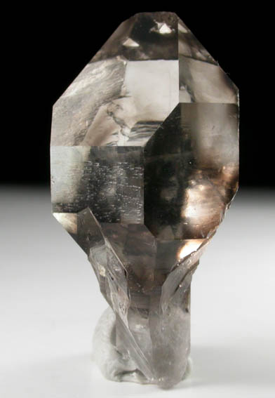 Quartz var. Smoky (Scepter Formation) from Crystal Park, Beaverhead County, Montana