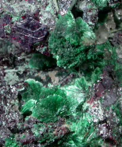 Cuprite, Malachite, Cerussite from Onganja Mine, Seeis, Khomas, Namibia